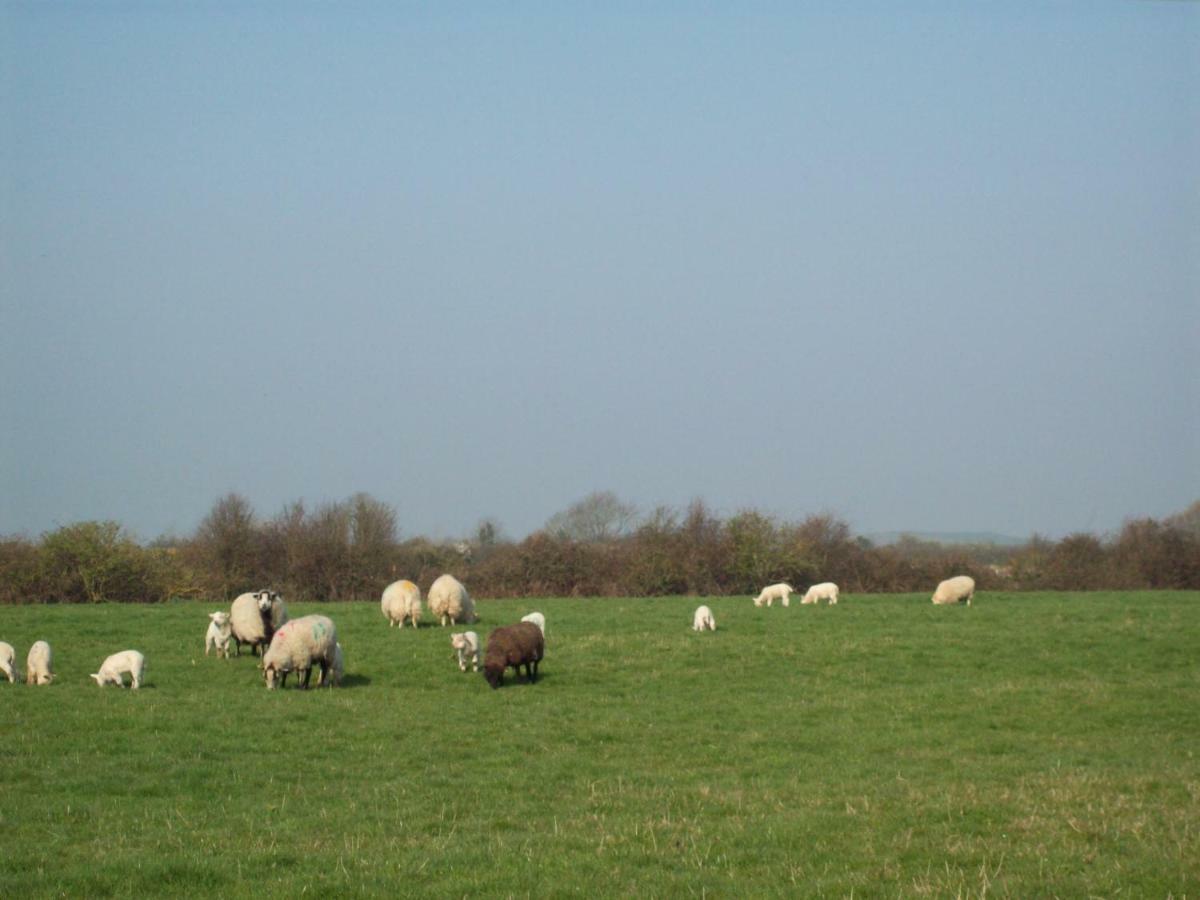 Willow Barn Boutique B&B Worle Esterno foto
